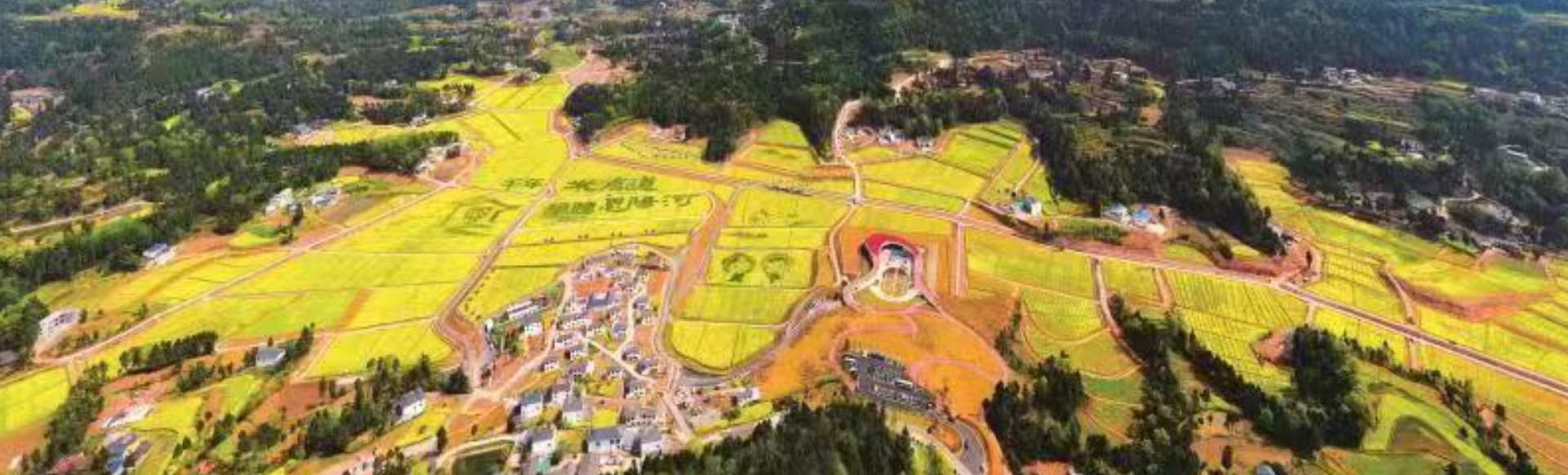 巴中(zhōng)錦彙